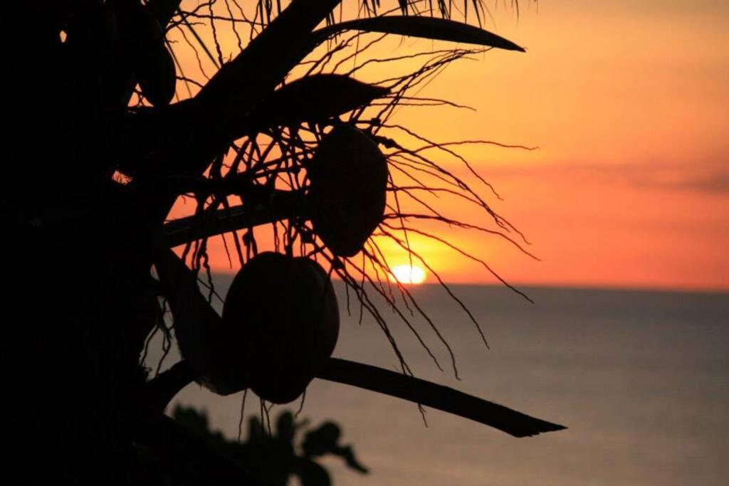 The Palms - Caribbean Paradise Aguadulce 外观 照片