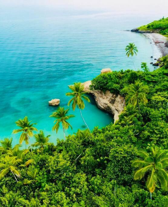 The Palms - Caribbean Paradise Aguadulce 外观 照片